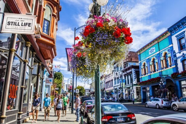 Trends in Real Estate for Downsizers in Victoria
