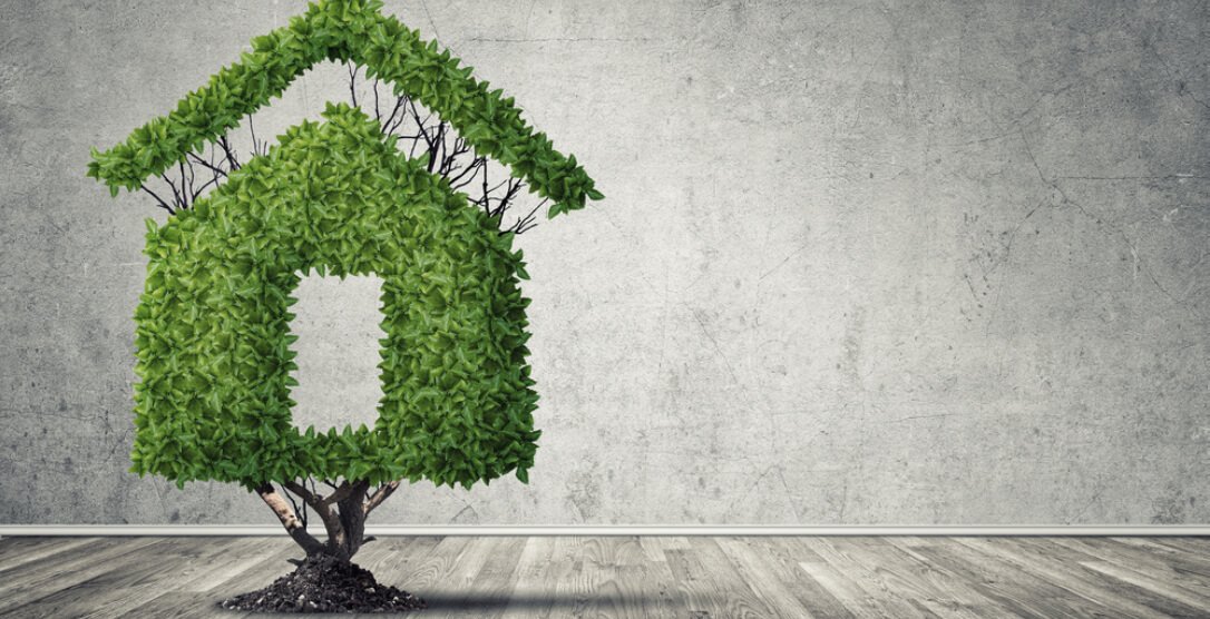 Eco-Friendly Real Estate