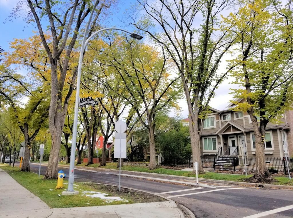 Edmonton Real Estate